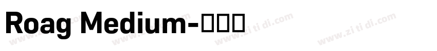 Roag Medium字体转换